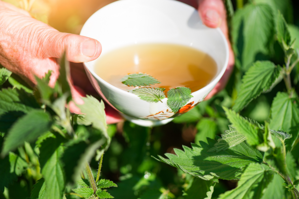 Plantes apaisantes pour calmer le stress des animaux