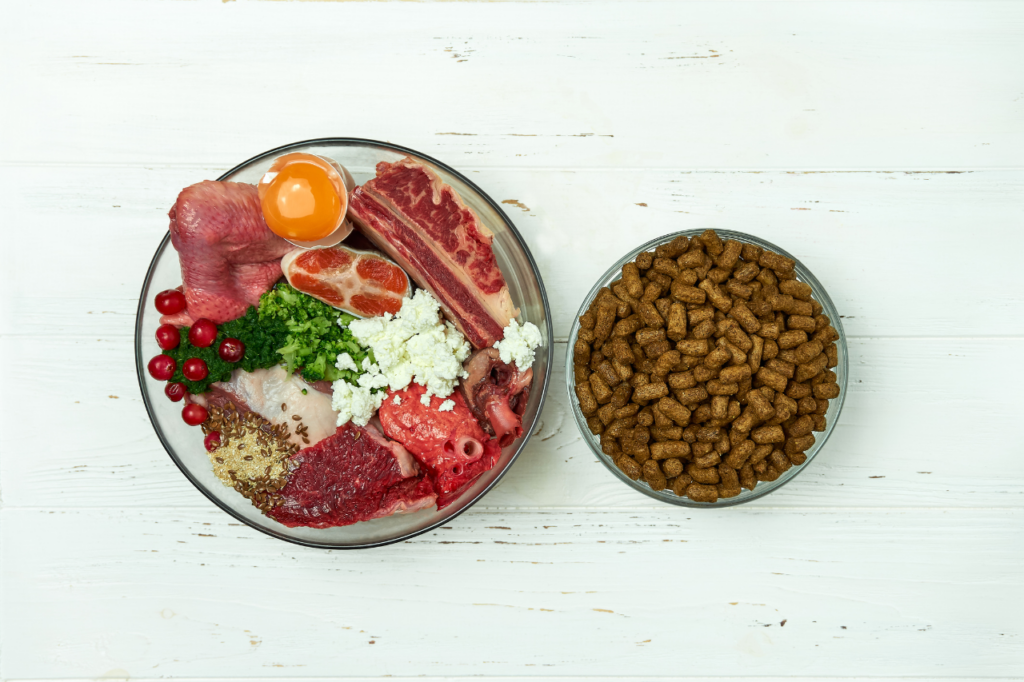 Gros plan sur un bol rempli de croquettes naturelles, avec des ingrédients frais comme des légumes et des morceaux de viande à côté.