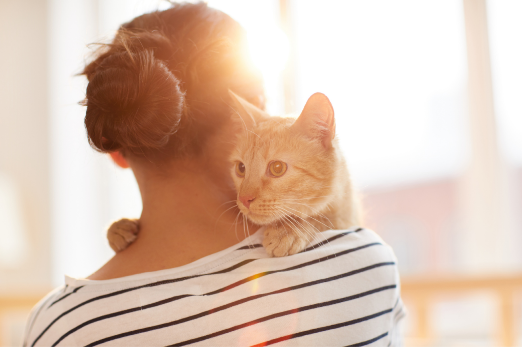 Interaction douce entre un humain et un chat.