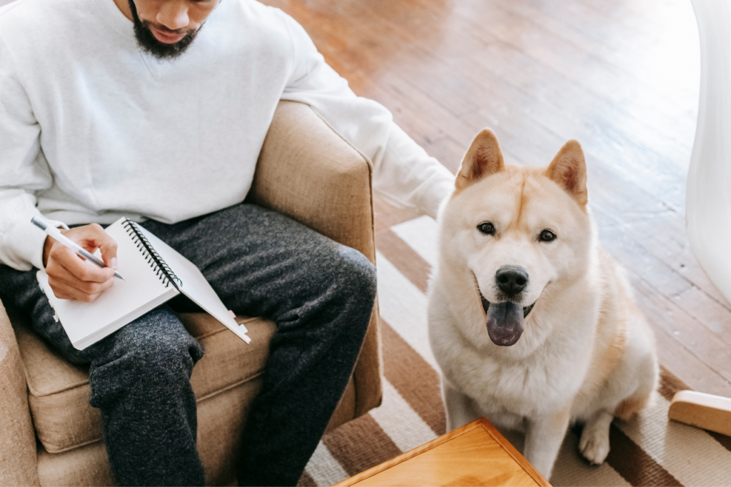 Carnet répertoriant les symptômes de stress chez les animaux.