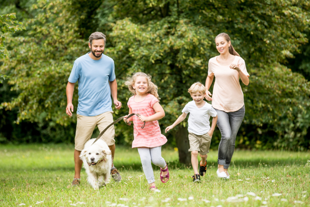 Famille jouant avec un chien et un chat dans un jardin.