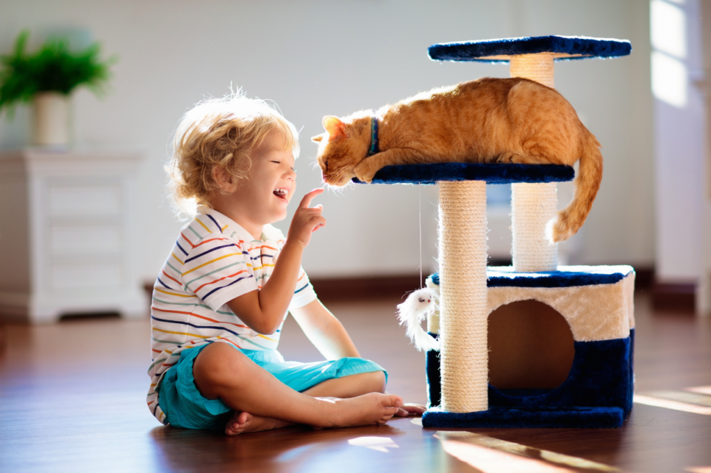 Un enfant caresse un chat dans un salon lumineux.