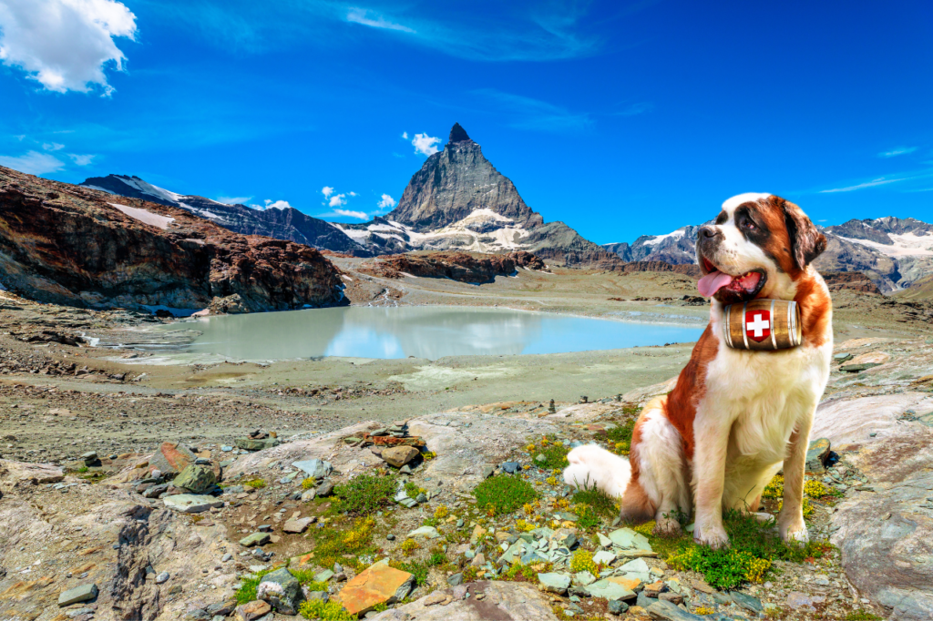 Chien Saint-Bernard dans les montagnes avec un tonneau.