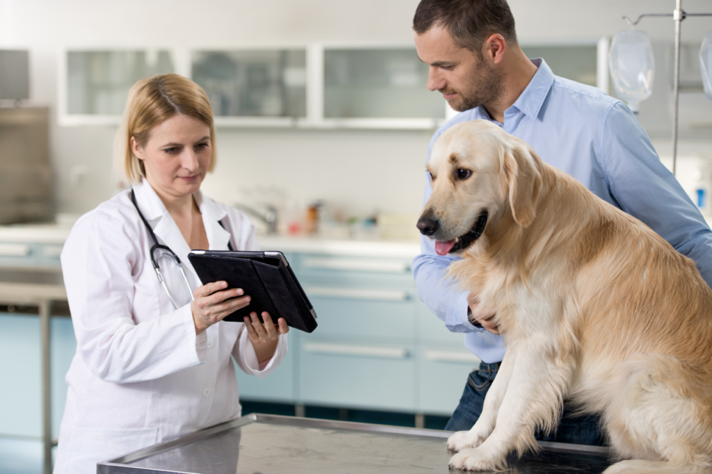 Vétérinaire expliquant les médicaments sûrs pour les animaux.